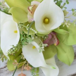 Meet your Posher, Anna marie